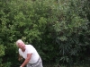 fete-2012-bcac-047